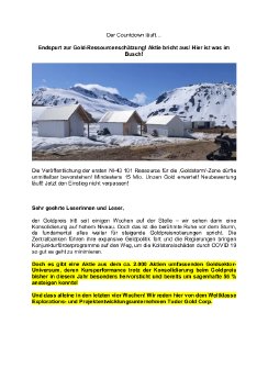 Tudor Gold_Artikel 20210213_PB.pdf