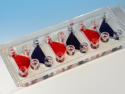 µ-Slide Chemotaxis 3D