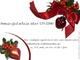 Domain-Gutschein als Ostergeschenk