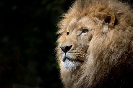 Afrika ist mehr als ein Safari-Park...
