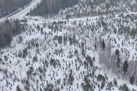 Das South of Otter-Projekt; Foto: Portofino Resources