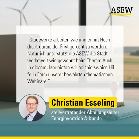 Deadline für Stromkennzeichnung_ASEW_Zitat.png