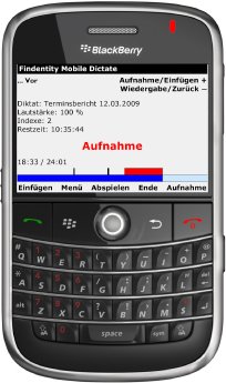 blackberry_findentity_mobile_dictate.jpg