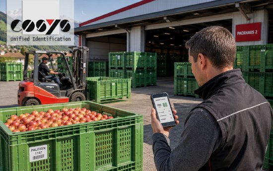 2026-06-24-Wenn Paloxen zum Engpass in der Obstlogistik werden.jpg