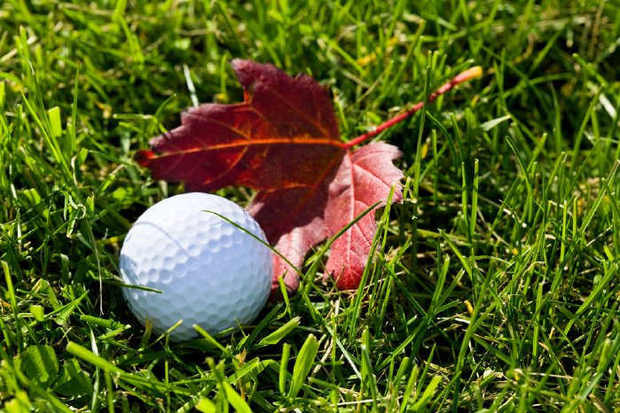 Golfball_Herbst.jpg