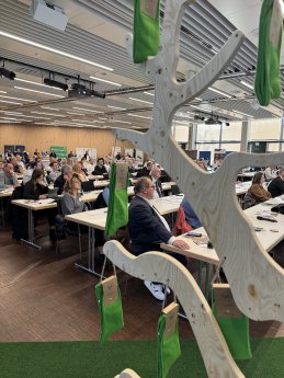 Blick ins Auditorium mit Sockenbaum.jpg