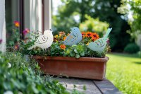 Diese fröhlichen Gesellen zeichnen sich unter anderem dadurch aus, weder Blumensamen zu fressen noch das Endergebnis einer solchen Mahlzeit im Garten zu verteilen.