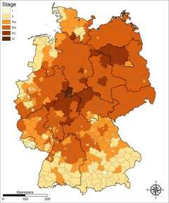 Waschbaer-240x288.jpg