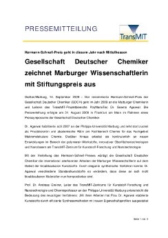 PM TransMIT Hermann-Schnell-Preis 14.0.2009.pdf