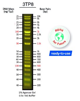 2026_05_07_Fluoreszenz-DNA-Marker_3TP8.jpg
