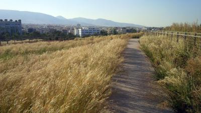 This pathway leads from the roof terrace, over the grassy roof of the National Library, to the large park / Source: H. Pangalou and Associates Landscape Architects