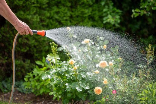 TS-PR-26090-PS_Gartenbewaesserung.jpg
