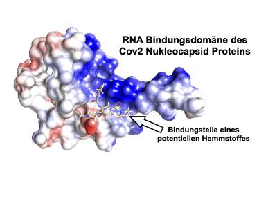 Mit Regensburger High-Tech gegen das Corona-Virus