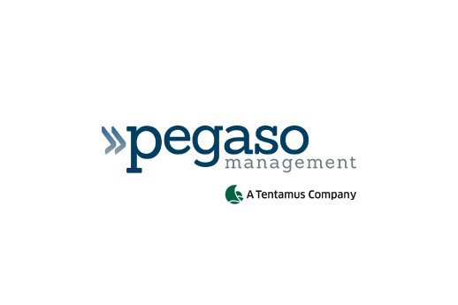 Pegaso-GroupTag.jpg