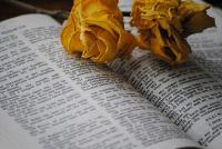Schriftrolle, Buch, Bible-Domains...