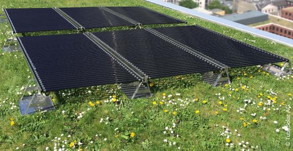Ideale Kombination zwischen Grün und Solar. Quelle: TubeSolar AG