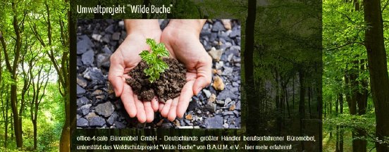 office-4-green_projekt_wilde-buche_gr.jpg