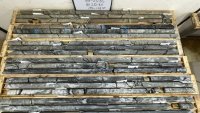 Antimony Resources meldet bis zu 11,41 % Antimon und erweitert Bald Hill um neue Zielzone