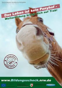Regionalagentur Plakat