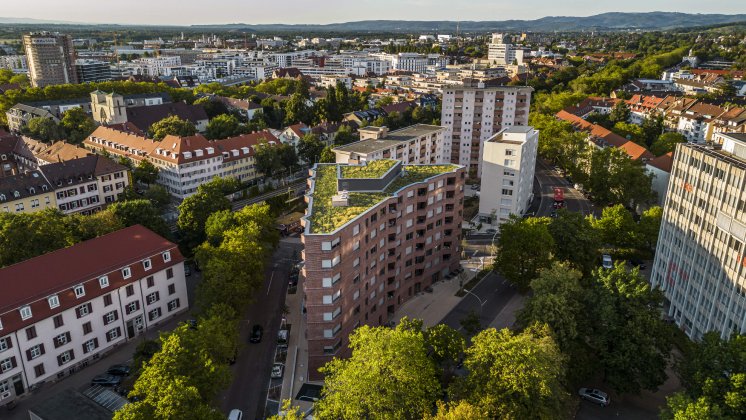 Optigruen_Referenzbild_Freiburg_Rennwegdreieck_02.jpg