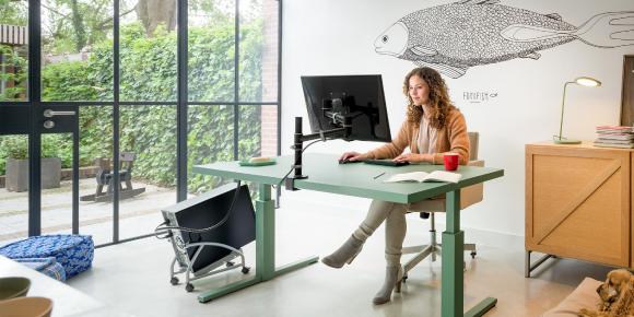 Dataflex Viewgo - Ergonomische Einsteigerserie