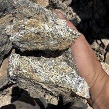 NevGold_161025_DEPRCOM.004.jpeg