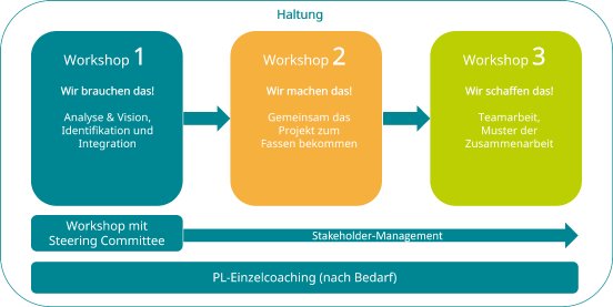 Vorgehen evolve your project1.png