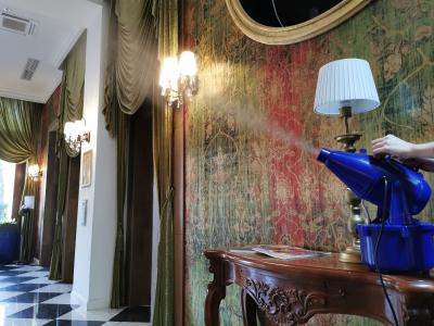 Mehr als oberflächliche Hygiene im Mystery Hotel in Budapest: Hochwirksame ganzheitliche Naturdesinfektion mit Solenal