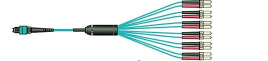 Abb 1. MPO-Fan-out Kabel mit einem Übergang von MPO- auf LC-Stecker