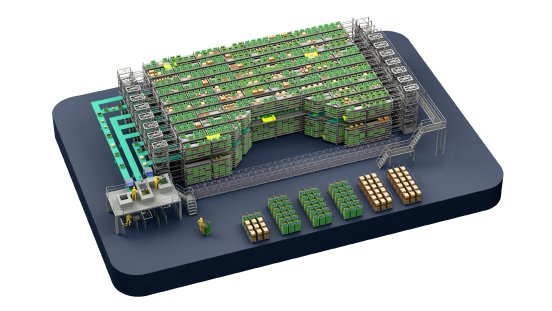 Obst und Gemüse.png