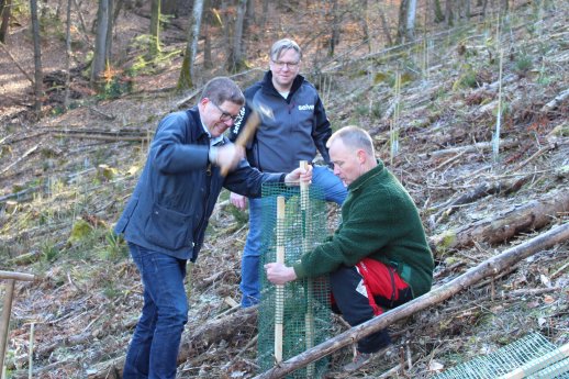 SELVE_GL_Hammer_Verbiss-Schutz.JPG