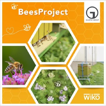 pressebox Bees Project (jpeg 750 x 750 px).jpg