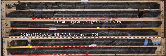 Swiss Resource3.png