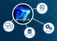 PEGASOS ECM-Funktionen