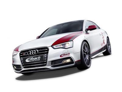 Eibach Audi S5 front