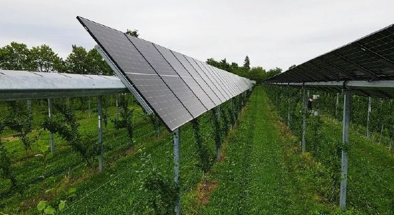 3171_FraunhoferISE_Agri-PV-Anlage-Oberkirch_web.jpg