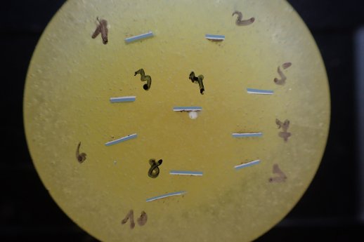 WRETEC_Fig2_Paint-chips_in_resin_c_sectional_area.JPG