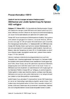 PI-1_13-sybase_final.pdf