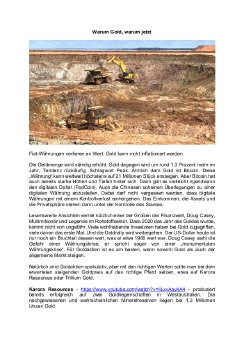 01.02.2021 Warum Gold, warum jetzt.pdf