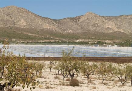 30 MW solarthermisches Kraftwerk PE 2 im Bau
