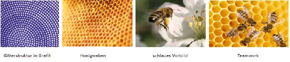 Von Bienen lernen, Kapitel 1