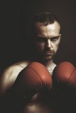 Box-Domains sind für die Verpackungsindustrie, aber auch für den Boxsport interessant