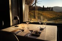 Sterne-Restaurants in Deutschland 2026: Der Guide Michelin zählt 339 Häuser, das neue Drei-Sterne-Haus steht in der Pfalz und nicht in einer Großstadt