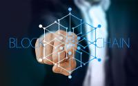 Ethereum: a platform that allows anyone to create applications, services and digital assets on the Blockchain