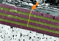 Conventional coating layers
