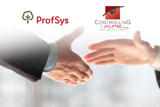 Partner_ProfSys_Controlling.jpg
