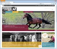 Programmierung Onlineportal: neues Magazin für Pferdeliebhaber