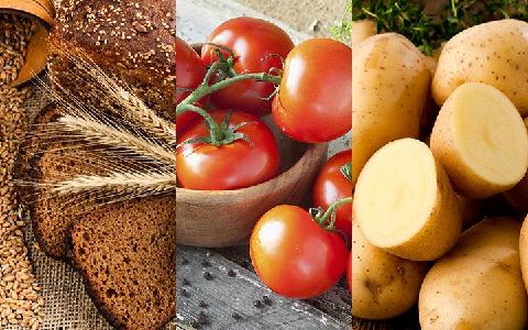 Alternaria Toxins in Food