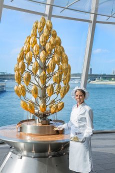 Schmuckfoto Schokoladenbrunnen.jpg