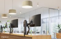 Ergotron TRACE Monitor Tischhalterung